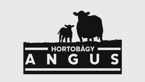 logo5