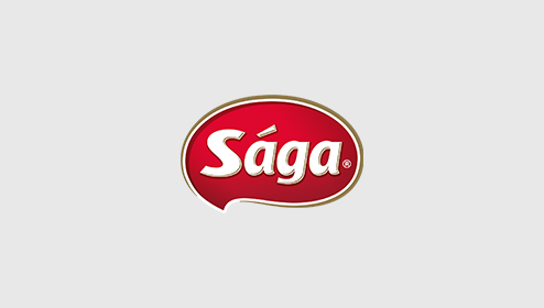 saga